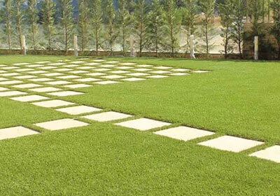 Green Landscape