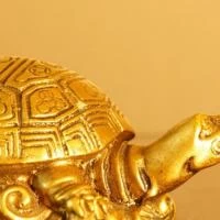 Why you should have tortoise figurine in your house